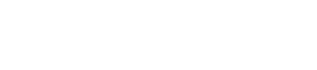 武汉市龙焕文化传播有限公司